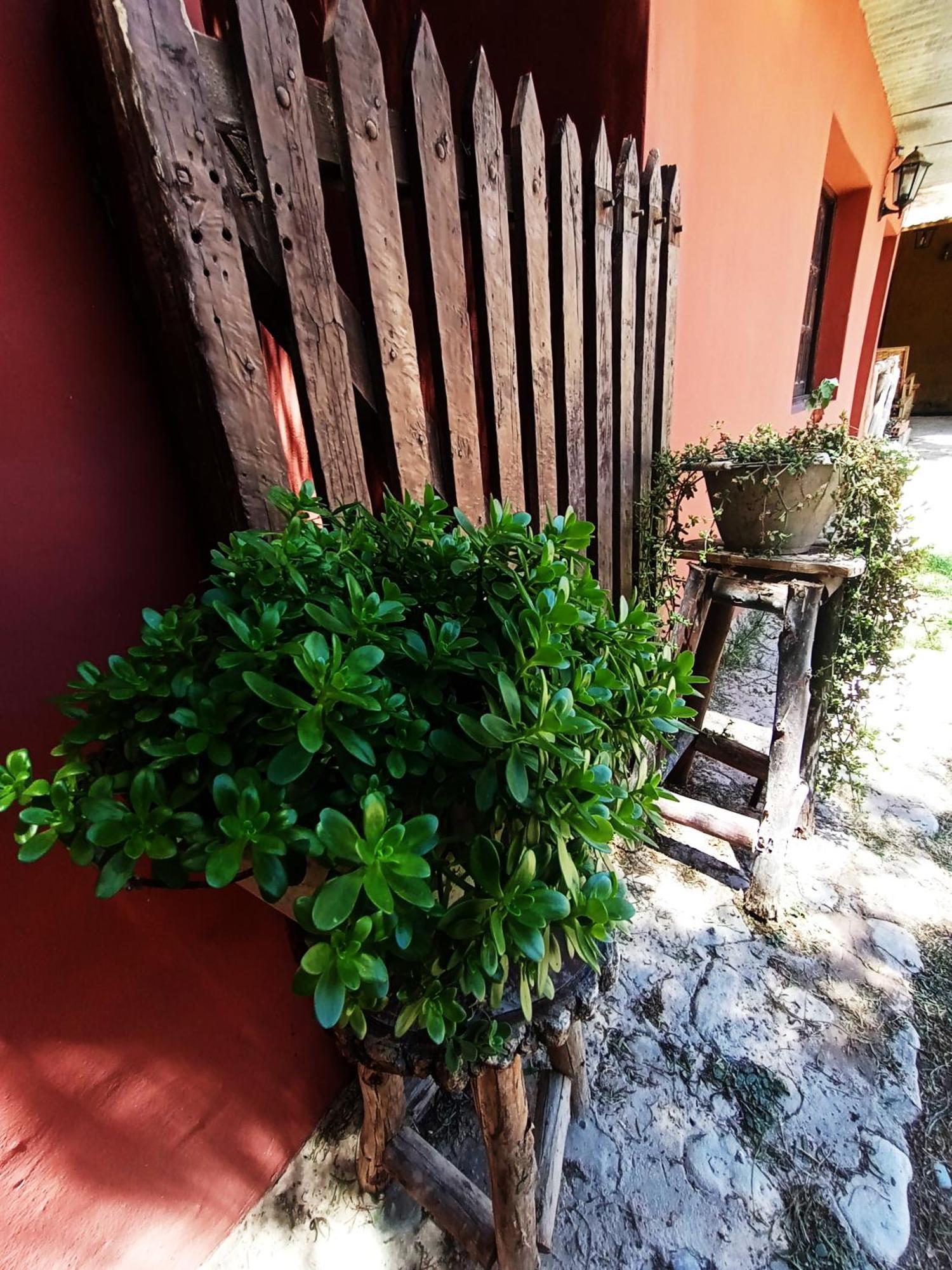 Hostal La Albahaca 틸카라 외부 사진